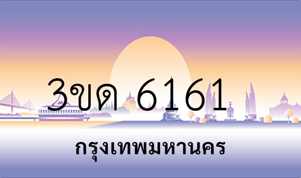 3ขด 6161